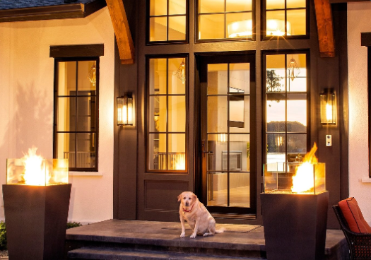 dog on steps in front of entrance torches